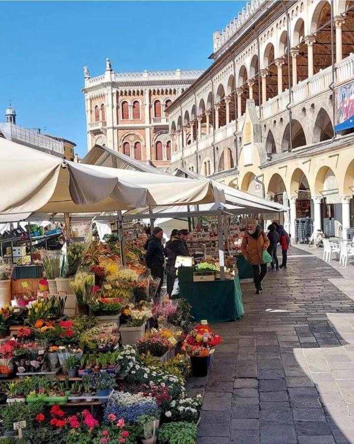 Apartament Al Teatro Padwa Zewnętrze zdjęcie